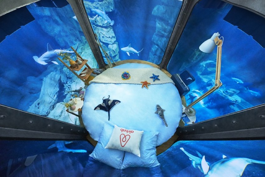 strategie marketing airbnb - aquarium requin paris - wnc-2
