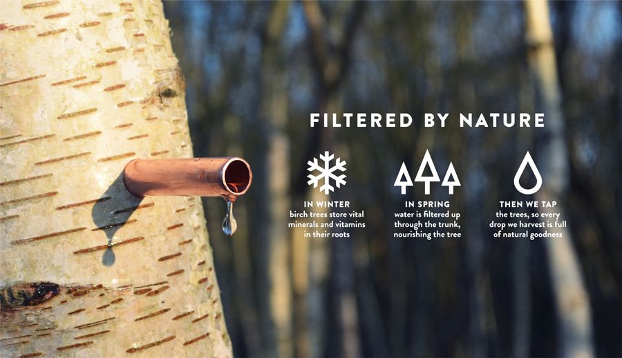 tapped birch water branding finland - we need cafeine-08