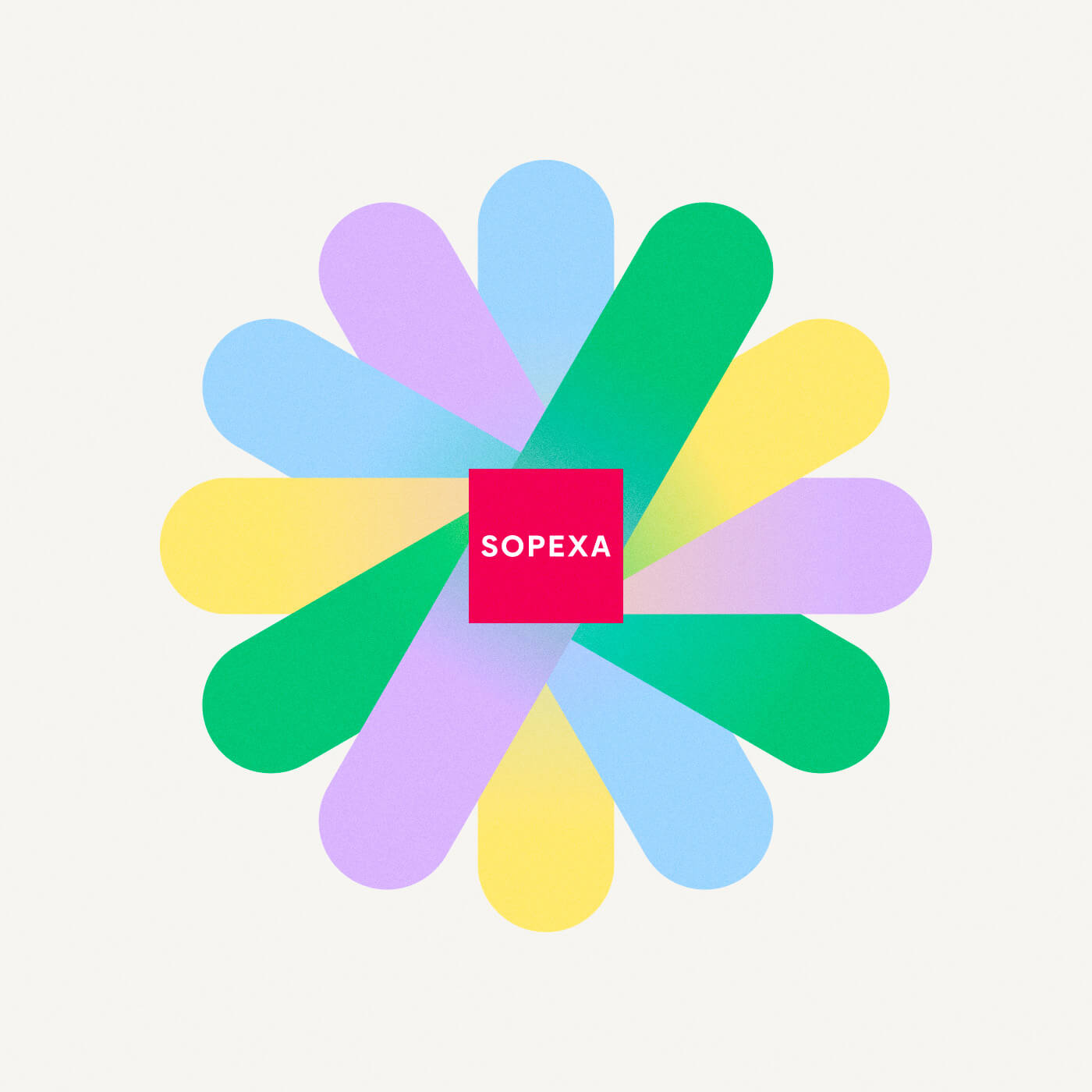 Roue des couleurs de la nouvelle identite de Sopexa