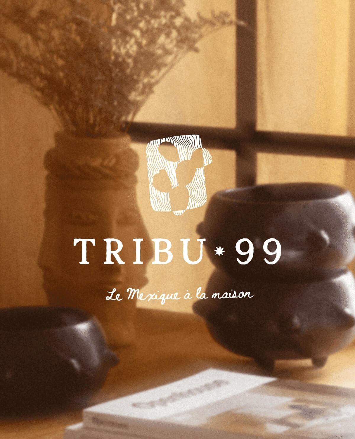tribu99-mexique-deco-leila-sami-antoine-peltier-5