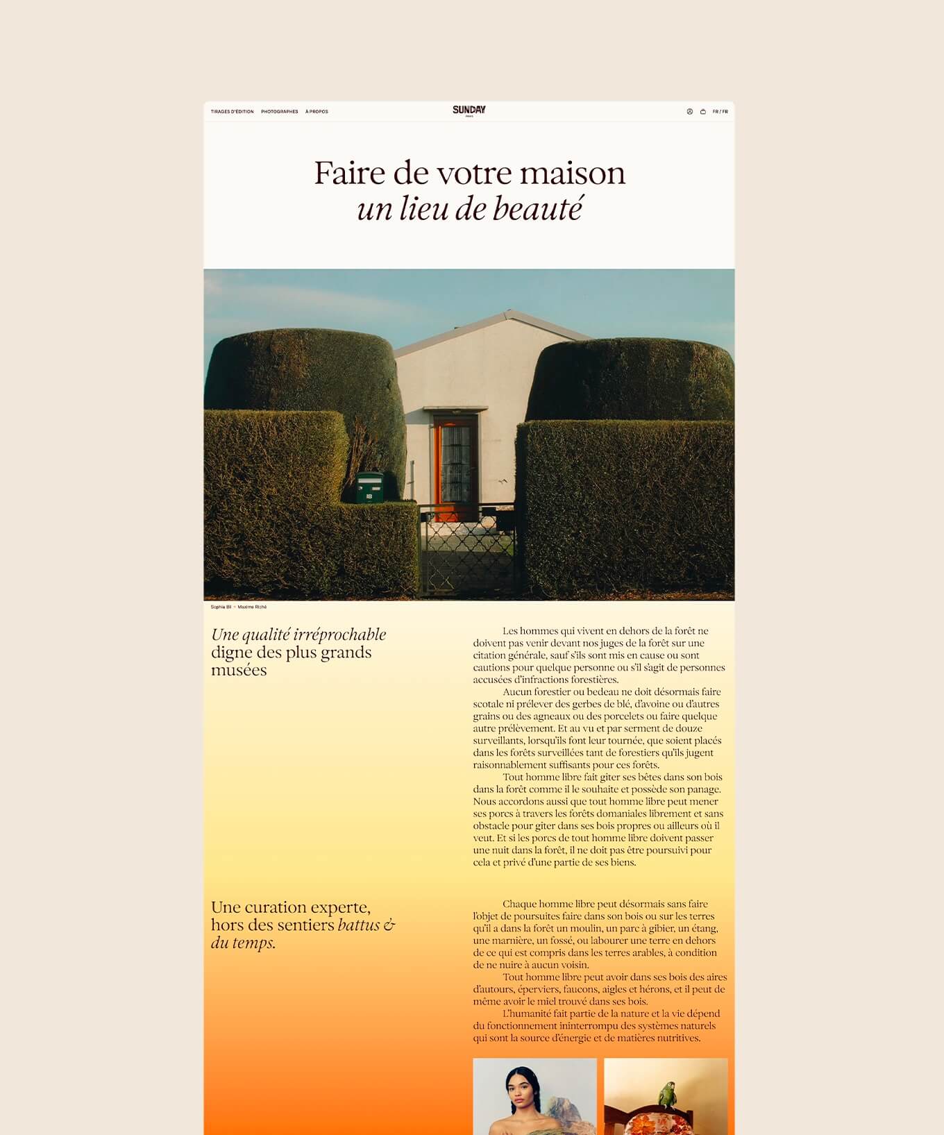 branding-sunday-paris-vente-photographie-antoine-peltier-design-12