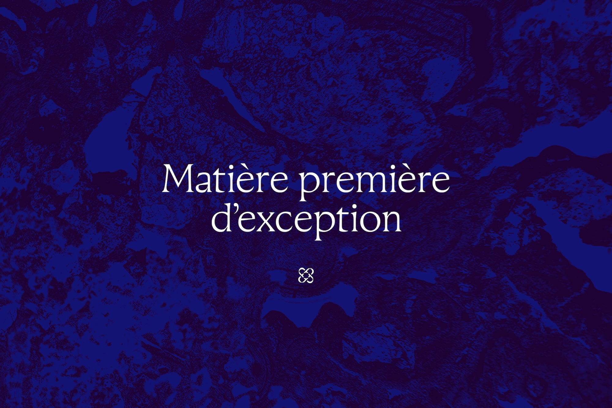 ulysse-poncet-identite-visuelle-web-antoine-peltier-v2-9